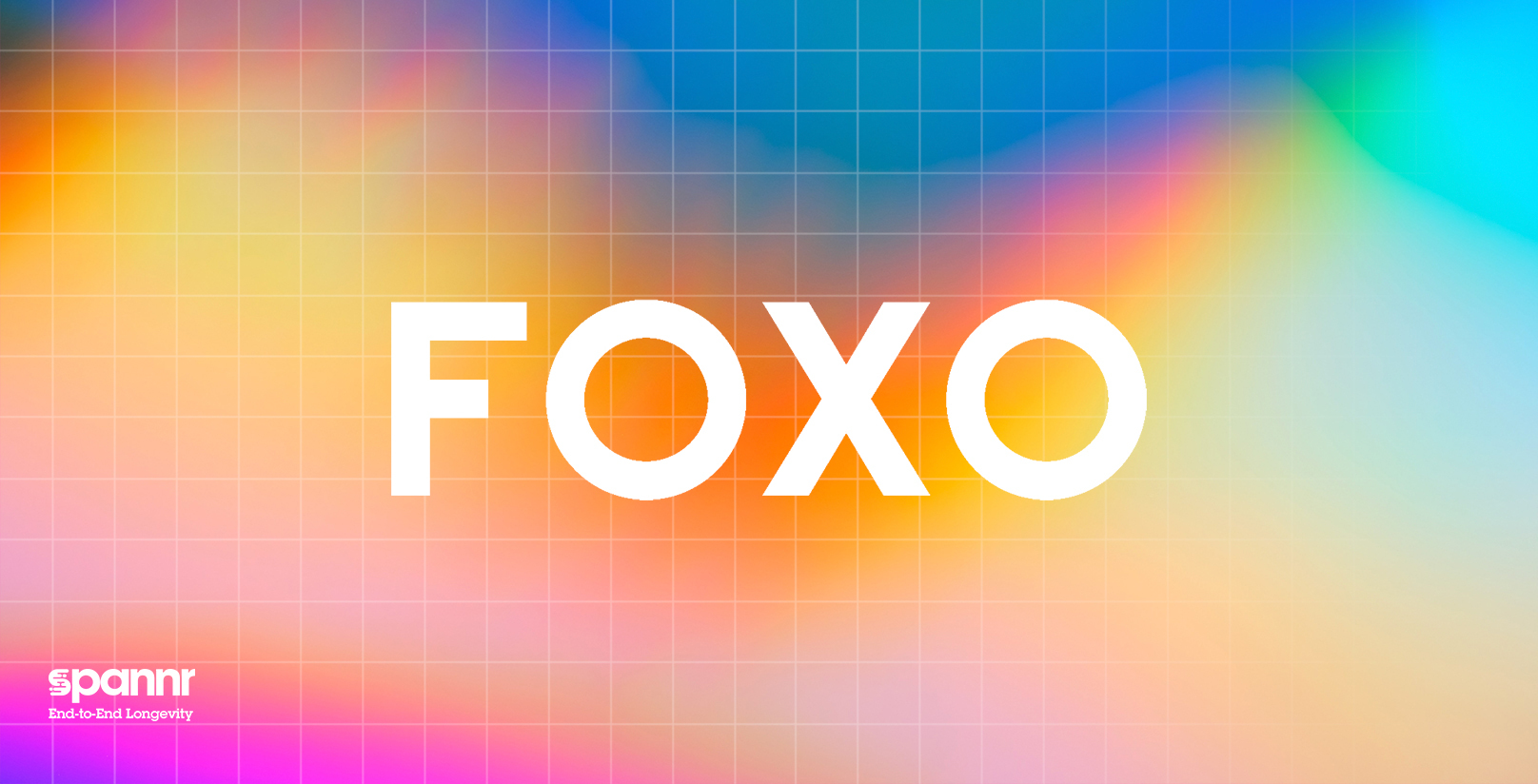 Despite Little Investor Appetite, FOXO Technologies Successfully Lists on the NYSE With A Goal To Change the Life Insurance Industry
