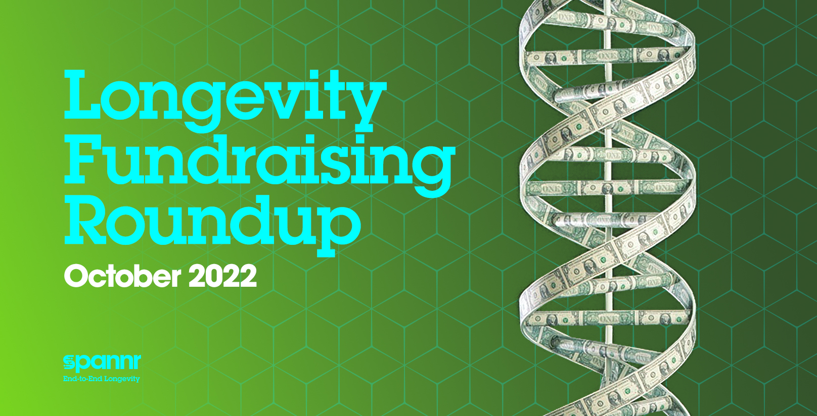 Longevity Fundraising Roundup: October 2022