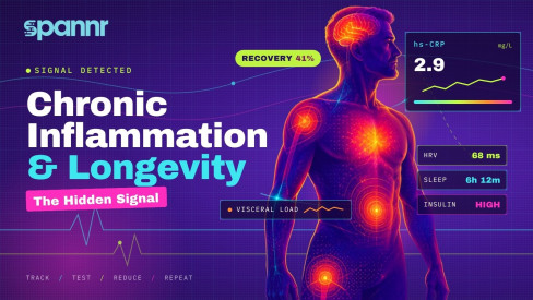 Chronic Inflammation And Longevity: The Hidden Signal