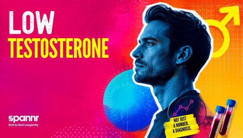 Low Testosterone: How to Confirm It Before Treatment