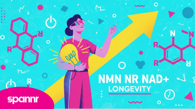 NMN vs NR — Which One Actually Raises NAD⁺ Levels?