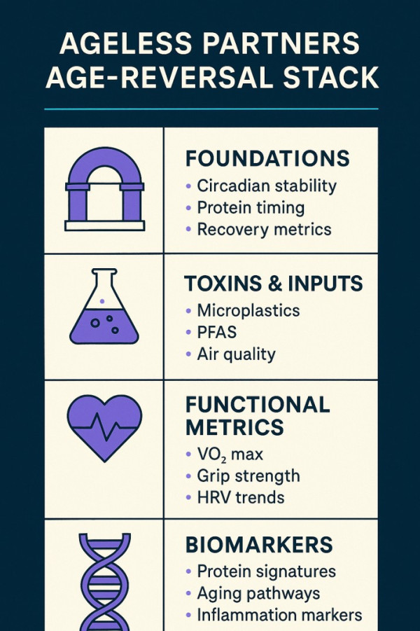 ageless-partners-chart