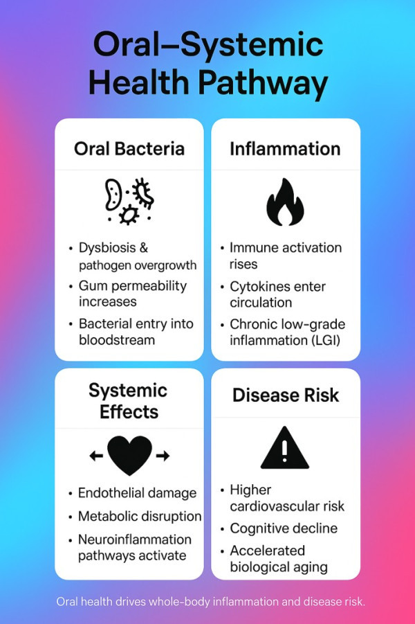 oral-health-pathway
