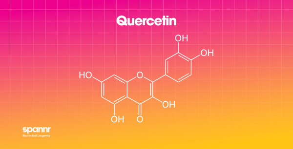 LongevitySupplements_Molecules_Quercetin