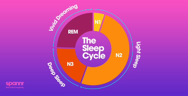 sleep cycle