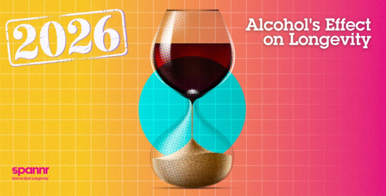 Does Alcohol Shorten Your Lifespan? The Honest Truth