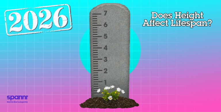 Do Shorter People Actually Live Longer? The Science Explained