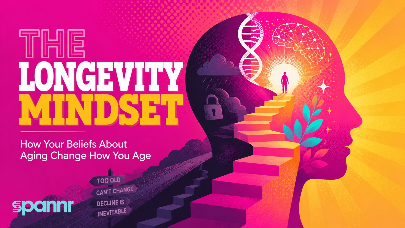 The Longevity Mindset: How Your Beliefs About Aging Change How You Age